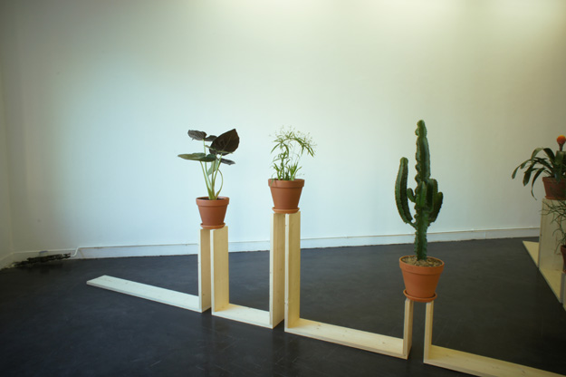 Ruru Kita - 2011 - 7,20 x 7,60 x 1,40 m - wood, plants - GalerieAcdc - Bordeaux - with the support of HandiCapZero and Prairie Sauvage